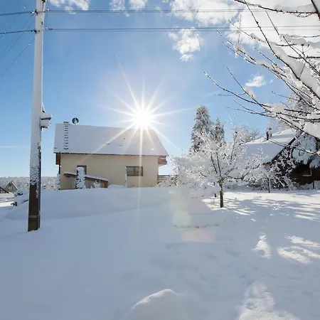 福瑞沃鸿哈斯多夫 - 泰兰德特瓦尔德公寓 公寓 *