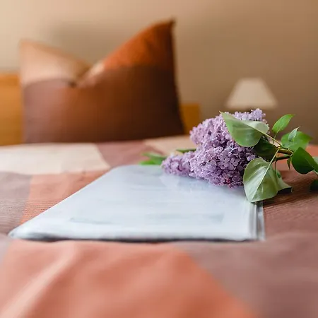 公寓 福瑞沃鸿哈斯多夫 - 泰兰德特瓦尔德公寓 黑茨多夫