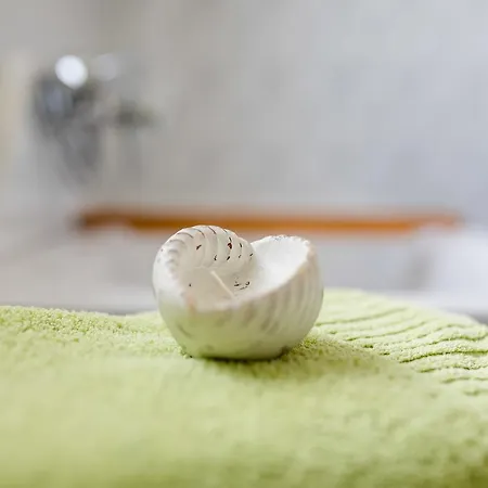 福瑞沃鸿哈斯多夫 - 泰兰德特瓦尔德公寓 公寓 *