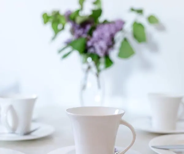 - Urlaub Am Tharandter Wald *